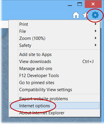 IE Tools Menu