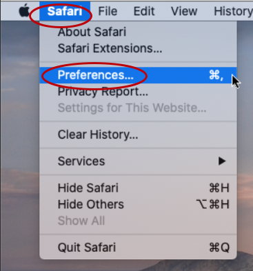 Safari Preferences dialog