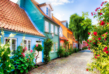 Aarhus Houses Jigsaw Puzzle