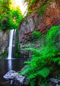 Abiqua Falls Jigsaw Puzzle