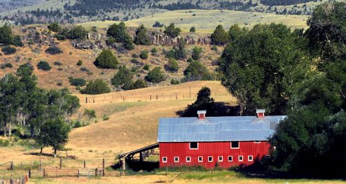 Absaroka Barn Jigsaw Puzzle