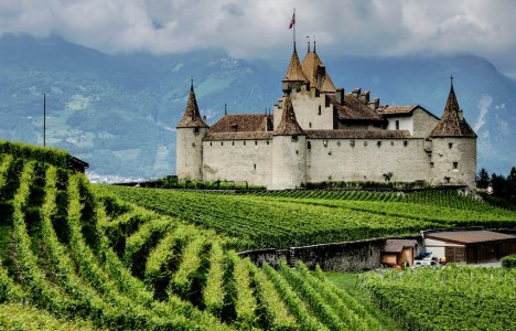 Aigle Castle Jigsaw Puzzle