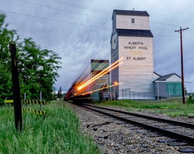 Alberta Wheat Jigsaw Puzzle