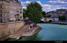 Along the Seine