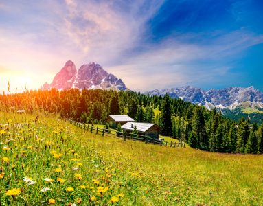 Alpine Meadow Jigsaw Puzzle