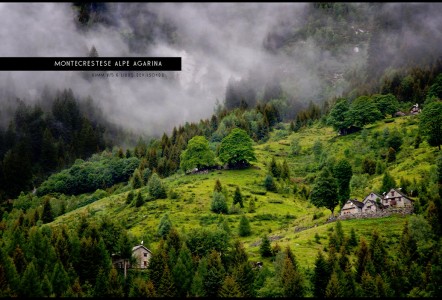 Alpine Meadow Jigsaw Puzzle