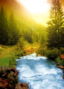 Alpine Stream Jigsaw Puzzle