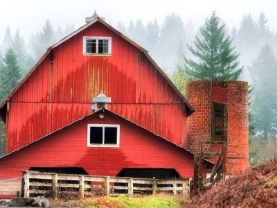 Amboy Barn Jigsaw Puzzle