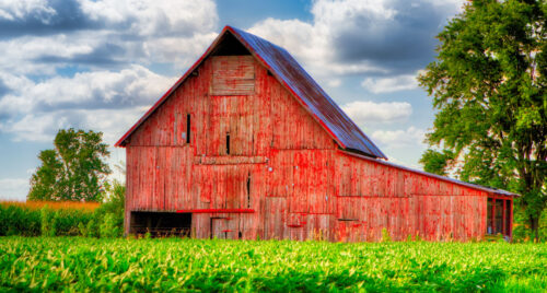 American Barn Jigsaw Puzzle