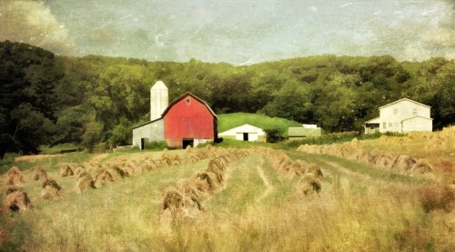 Amish Country Jigsaw Puzzle