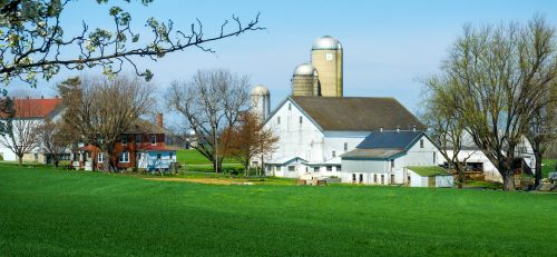 Amish Farm Jigsaw Puzzle