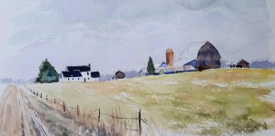 Amish Field