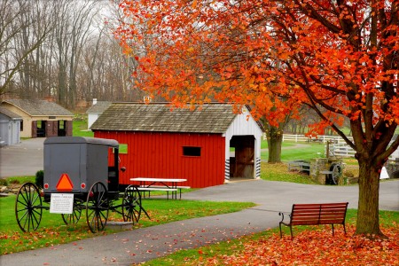 Amish Village Jigsaw Puzzle