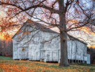 Amy’s Barn