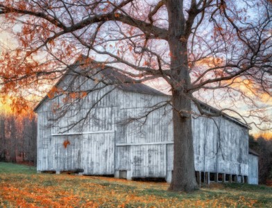 Amy’s Barn Jigsaw Puzzle