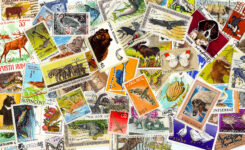 Animal Stamps