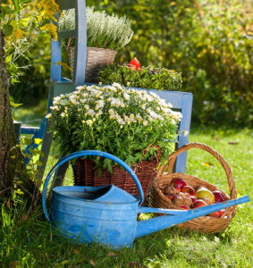 Apples and Flowers Jigsaw Puzzle