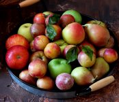 Apples, pears, and plums