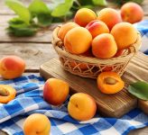 Apricots