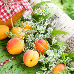 Apricots and Ferns Jigsaw Puzzle