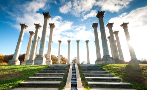 Arboretum Columns Jigsaw Puzzle