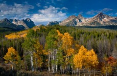 Aspen and Sawtooths