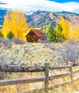 Aspen Barn Jigsaw Puzzle