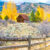 Aspen Barn Jigsaw Puzzle