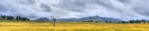 Australia Grassland Jigsaw Puzzle