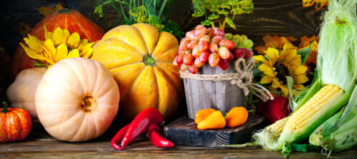 Autumn Bounty Jigsaw Puzzle