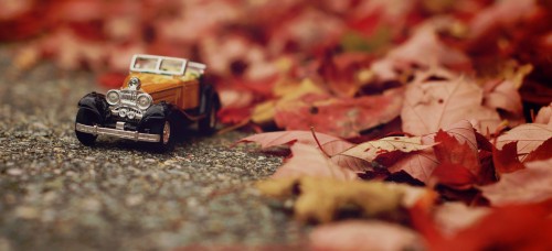 Autumn Drive Jigsaw Puzzle