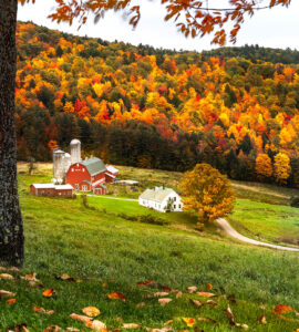 Autumn Farm Jigsaw Puzzle