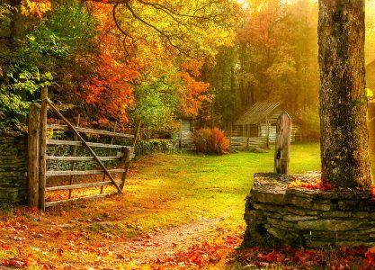 Autumn Gate Jigsaw Puzzle