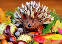 Autumn Hedgehog