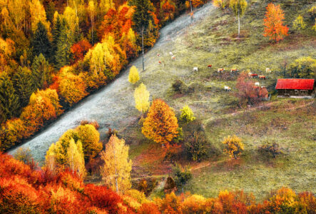 Autumn Hillside Jigsaw Puzzle Autumn Hillside Jigsaw Puzzle