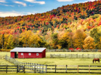 Autumn in Vermont