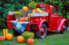 Autumn Red Truck Jigsaw Puzzle