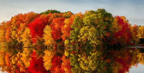 Autumn Reflection Jigsaw Puzzle
