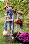 Autumn Scarecrow