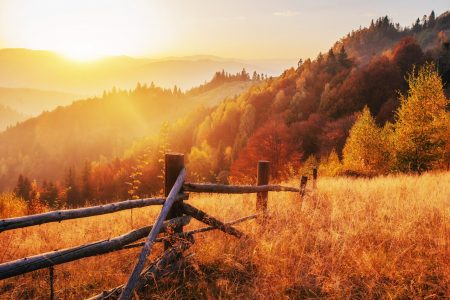 Autumn Sun Jigsaw Puzzle