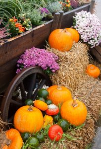 Autumn Wagon Jigsaw Puzzle