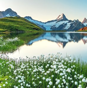 Bachalpsee Lake Jigsaw Puzzle