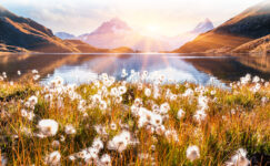 Bachalpsee Summer