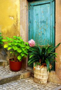 Back-street Door Jigsaw Puzzle