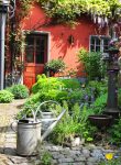 Backyard Garden