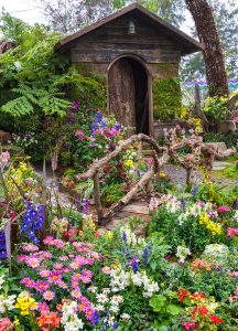 Backyard Shed Jigsaw Puzzle