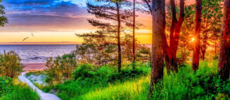 Baltic Sunrise Path