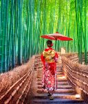 Bamboo Path