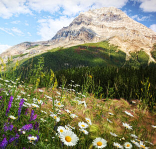 Banff Vista Jigsaw Puzzle