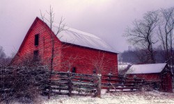 Barn and Fence